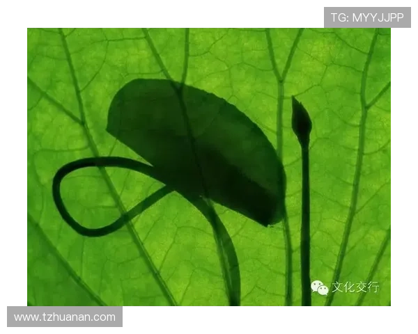 《山野》：一曲荡气回肠的时代挽歌，一场触及灵魂的生命叩问